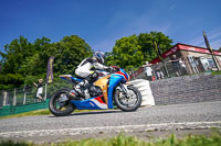 Lower Group Multicolour Bikes